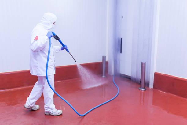 Best Dumpster Area Cleaning  in South Monroe, MI