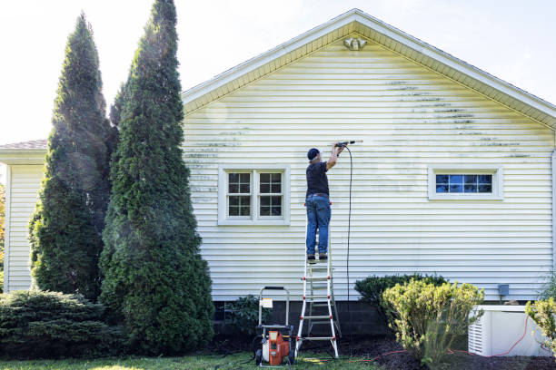 Spring Cleaning in South Monroe, MI